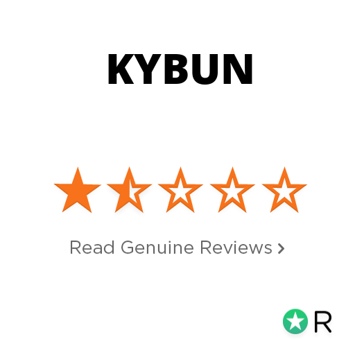 Kybun best sale schoenen ervaringen