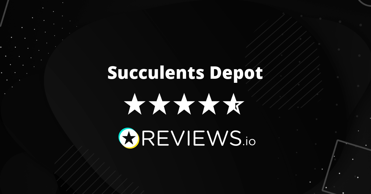 https://www.reviews.io/meta-image/succulents-depot?v=2023-12-15